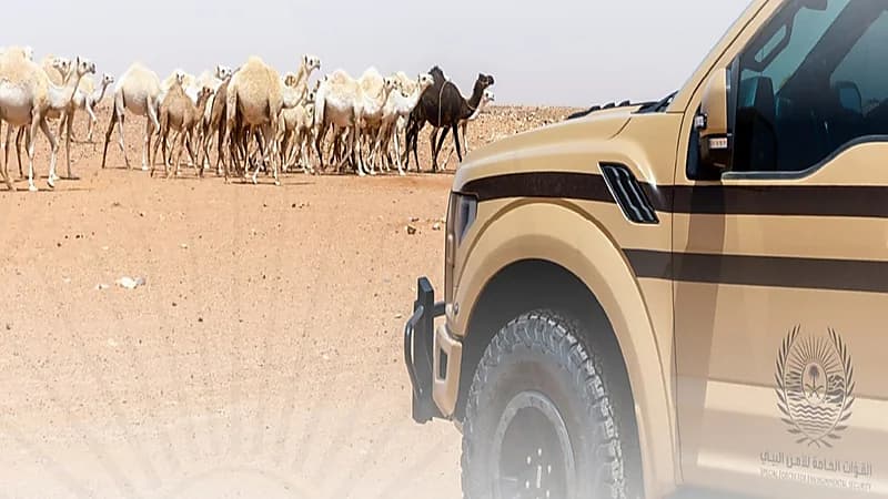 ضبط 6 مخالفين لقيامهم بنقل الرمال وتجريف التربة في جدة