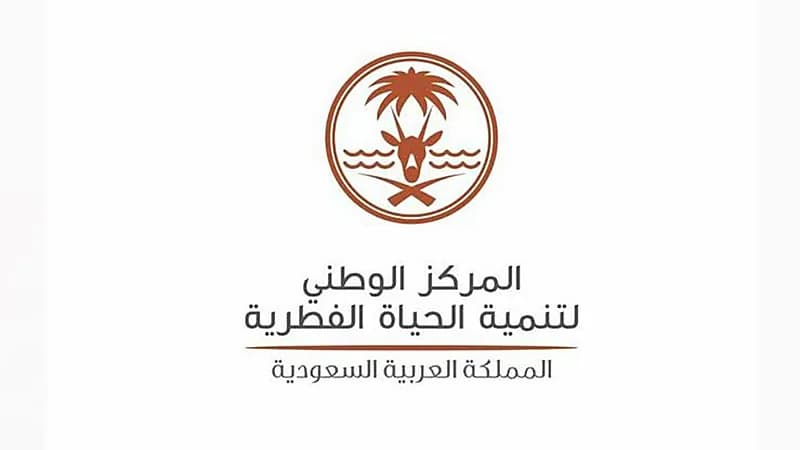 "الحياة الفطرية" تدعو مقتني الحيوانات المفترسة إلى تسليمها تجنبًا للمحاسبة القانونية