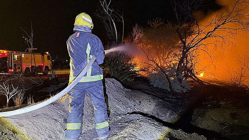 مدني المدينة المنورة يباشر حريقًا اندلع في أشجار بوادي النقمي
