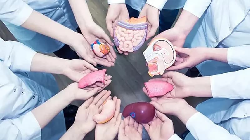 مدير إدارة شؤون التبرع: نسبة التبرع بعد الوفاة زادت إلى 12% .. فيديو