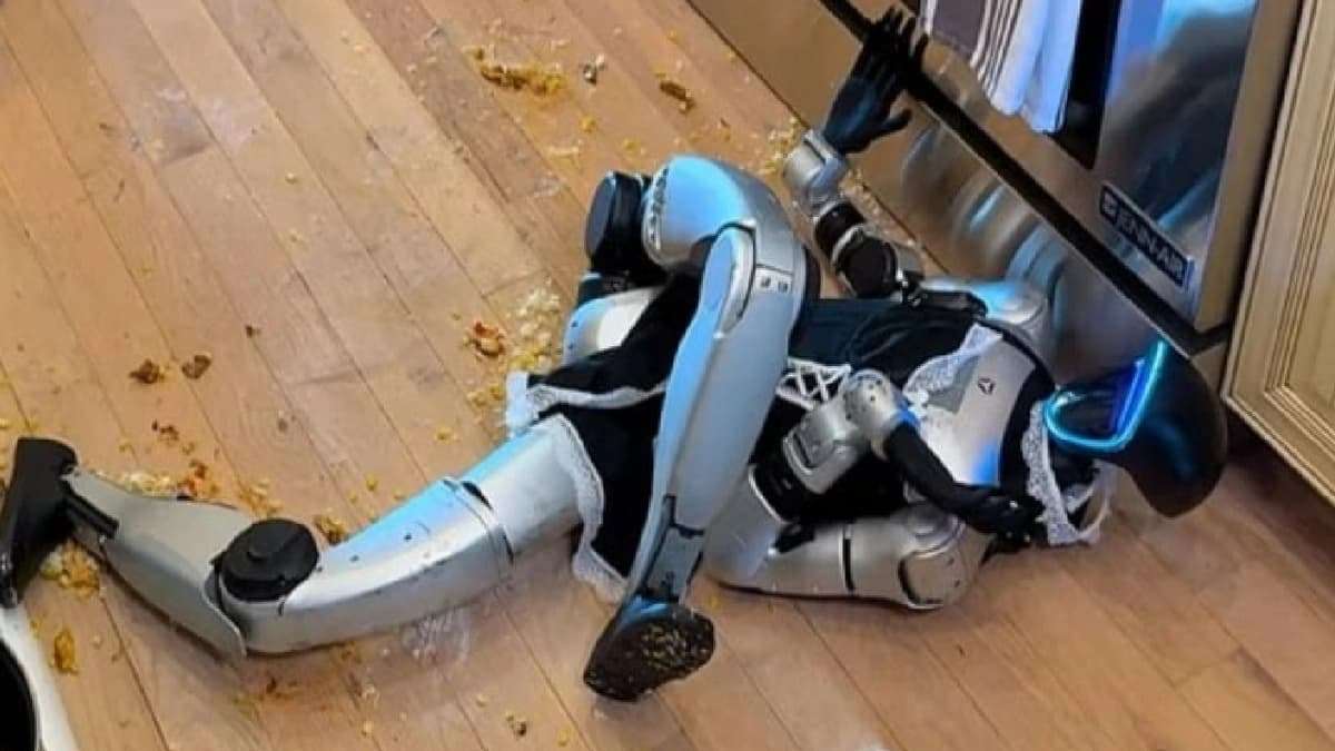 نهاية كارثية لروبوت متطور حاول إعداد وجبة .. صور