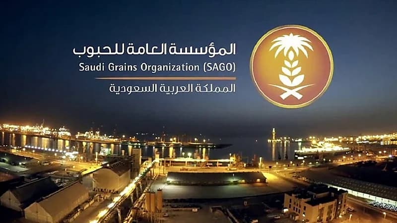المؤسسة العامة للحبوب تطرح مناقصة لاستيراد 295 ألف طن قمح