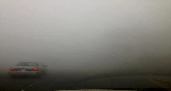 نصائح لضمان سلامة قائدي المركبات في الضباب