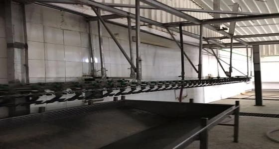 ضبط 16 مخالفا يعملون بإحدى مزارع الدواجن بـ " الليث "