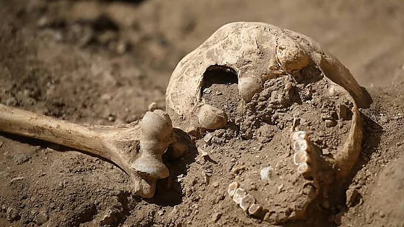 العثور على بقايا بشرية داخل مسجد