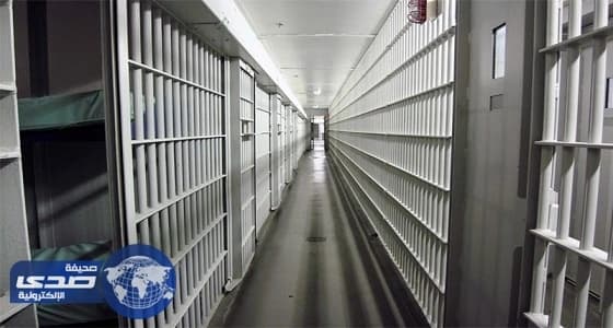 وزير الخارجية الهندي: 2046 سجينًا بالمملكة