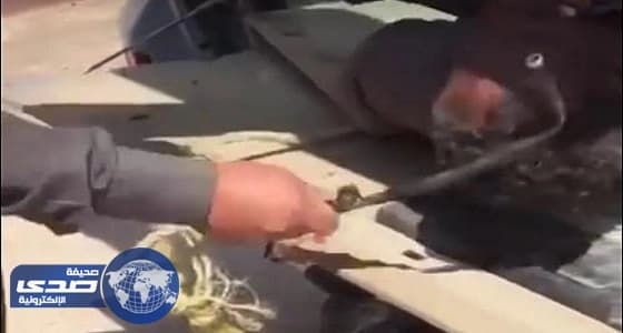 القبض على المعتدي على إثيوبي.. وشرطة الرياض توضح ملابسات الواقعة " فيديو "