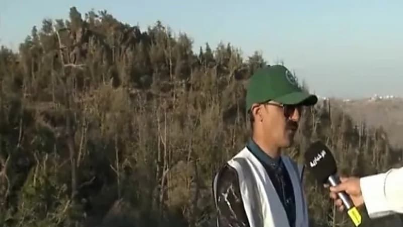 مختص يكشف عن خطة تأهيل الغابات المتضررة من الحرائق "فيديو"