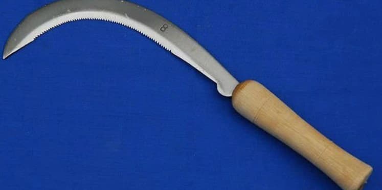 فتاة هندية تنتقم من خطيبها ببتر عضوه التناسلي بمنجل