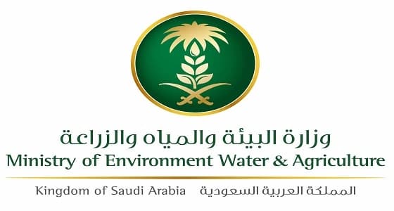 لتكلفة الإنتاج العالية.." البيئة " تناشد المواطنين بترشيد استهلاك المياه