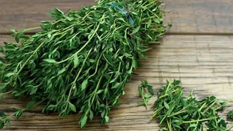 أفضل طريقة لتنظيف الزعتر من الأتربة